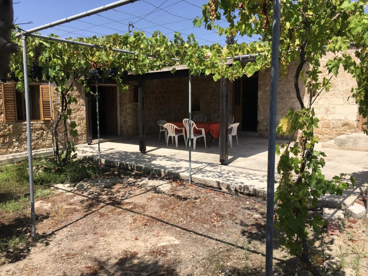 Friendly Villagehouse بافوس المظهر الخارجي الصورة